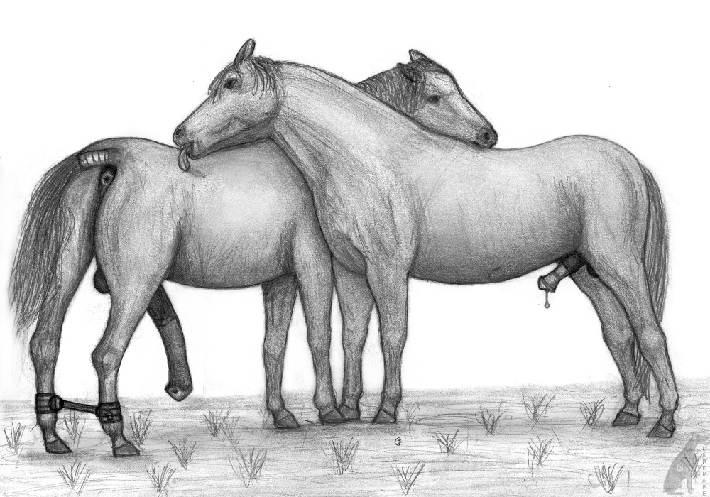 anatomically_correct animal_genitalia animal_penis anus ass balls darkmare duo equine equine_penis erection feral feral_on_feral furry hobbled horse horsecock male mammal monochrome pencil_(artwork) penis penis_size_difference precum presenting presenting_anus small_penis tail_wraps traditional_media_(artwork) wraps yaoi