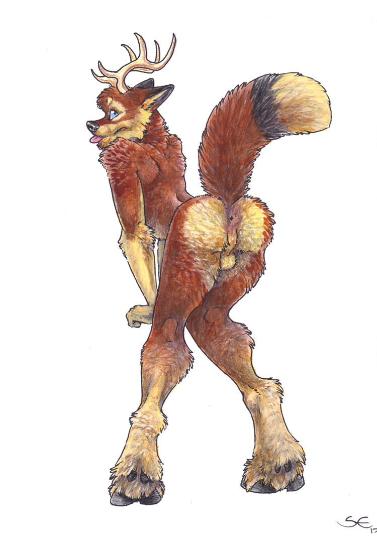 anthro antlers anus ass balls blue_eyes canine cervine deer fox fur hooves horn hybrid looking_back male male_only mamma mammal multicolored_fur nude presenting presenting_hindquarters sabretoothed_ermine simple_background solo teasing tongue tongue_out