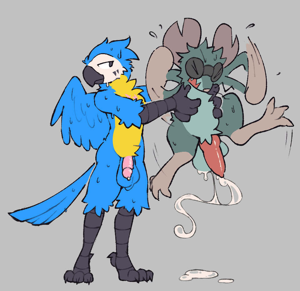 2025 aarakocra_(dnd) anthro back_wings balls beak big_balls black_beak black_eyes blue_body blue_feathers bodily_fluids closed_eyes cum cum_on_ground digital_drawing_(artwork) digital_media_(artwork) digitigrade duo eyewear eyewear_only feathered_wings feathers flaccid flailing flat_colors flying_sweatdrops fur genital_fluids genitals goggles goggles_only grey_background grey_body grey_fur holding_another huge_balls humanoid_genitalia humanoid_penis knot knotted_penis male male/male mammal murid murine notched_ear nude open_mouth penis rat red_penis rodent simple_background size_difference snout standing sweat sweatdrop tail tail_feathers thatguynamedjoe waving_arms wings yellow_body yellow_feathers