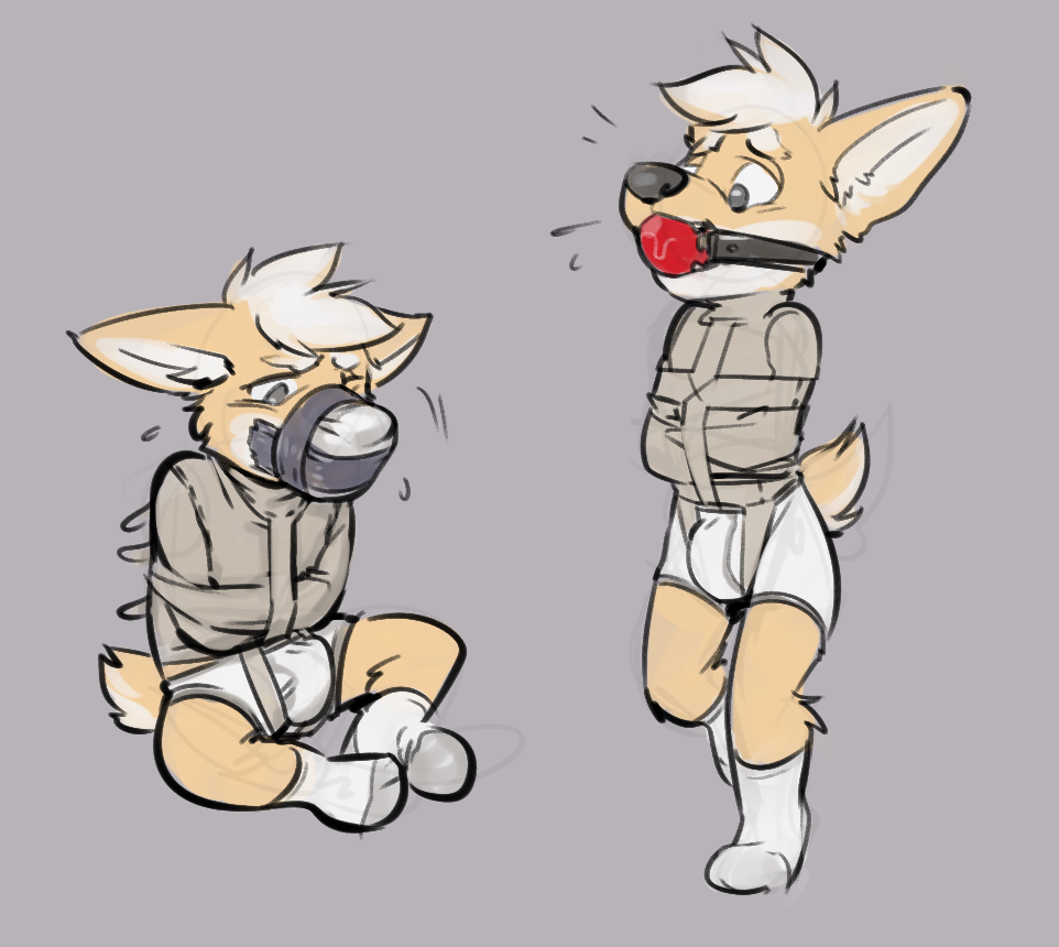 2018 anthro avery_(vir-no-vigoratus) ball_gag banderi black_nose bondage bound briefs bulge canine clothed clothing corgi fur gag gagged grey_background hair legwear male male_only mammal multicolored_fur multiple_poses muzzle_(object) muzzled pose simple_background socks solo straitjacket tan_fur tape tape_gag tape_muzzle two_tone_fur underwear white_socks white_underwear