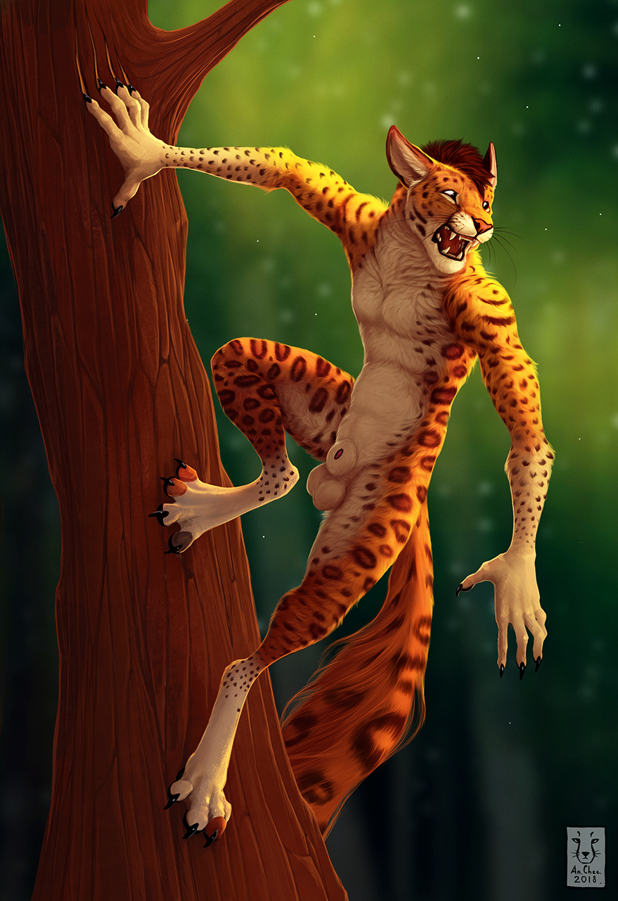 2018 anchee animal_genitalia anthro artist_collaboration balls biped casual_nudity claw_marks claws detailed detailed_fur digital_drawing_(artwork) digital_media_(artwork) digitigrade fangs felid feline fluffy fluffy_tail fur genitals hi_res in_tree jakthedrox leopardus male mammal markings natural_colors nature nude ocelot open_mouth orange_body orange_fur outdoor_nudity outside paws penis penis_tip plant sheath signature solo spots spotted_body spotted_fur tail tan_body tan_fur teeth tongue tree whiskers