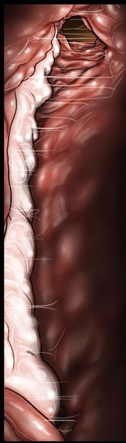 ass up, cervical storage, cervix draining cum, cervix view, cum hungry, cum in cervix, cum in pussy, cum stream, downward dog, female, gaping pussy, holding cum, insemination, internal cumshot, internal pov, internal view, kuroneko smith, obaa-san no karada ga kimochi yosugiru kara, pussy, storing cum