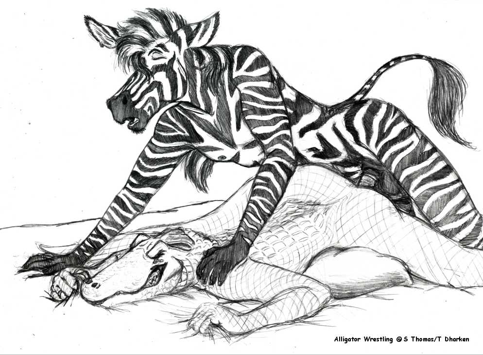 2006 anal anal_sex anthro anthro_on_anthro balls bed big_tail closed_eyes crocodilian dharken duo equine erection from_behind_position furry interspecies lying male male_penetrating mammal monochrome on_bed pain penetration penis pillow pinned predator/prey reptile scalie sex traditional_media_(artwork) yaoi zebra