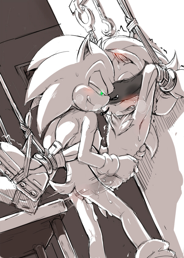 7624cq, anal, anthro, armpit, balls, blindfold, blush, bondage, bound, cuffs, furry, gay, gay domination, hedgehog, male, maledom, malesub, mammal, monochrome, multiple boys, multiple males, penis, rape, sega, shadow the hedgehog, sonadow, sonic (series), sonic the hedgehog, sonic the hedgehog (series), steamy, sweat, sweaty, wrist cuffs, x-ray