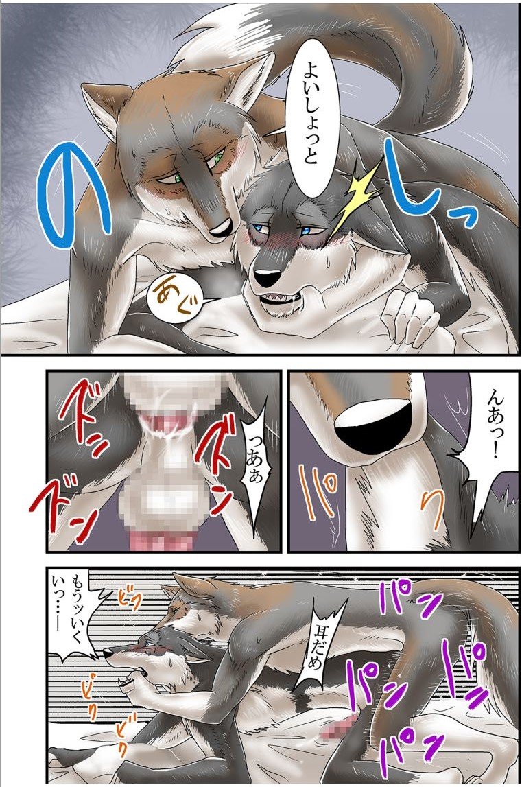 all_fours anal anal_sex anthro anthro_on_anthro aozora_(nosada) ass balls bite black_nose blue_eyes blush canine censored close-up closed_eyes comic cum doggy_style ear_biting erection from_behind_position fur furry furry_only gay grey_fur grey_wolf hands_free_ejaculation humanoid_penis japanese_text jaw_grab male mammal no_humans open_mouth penetration penis precum rough_sex sex shaking speech_bubble text timber_wolf translation_request white_fur wolf yaoi