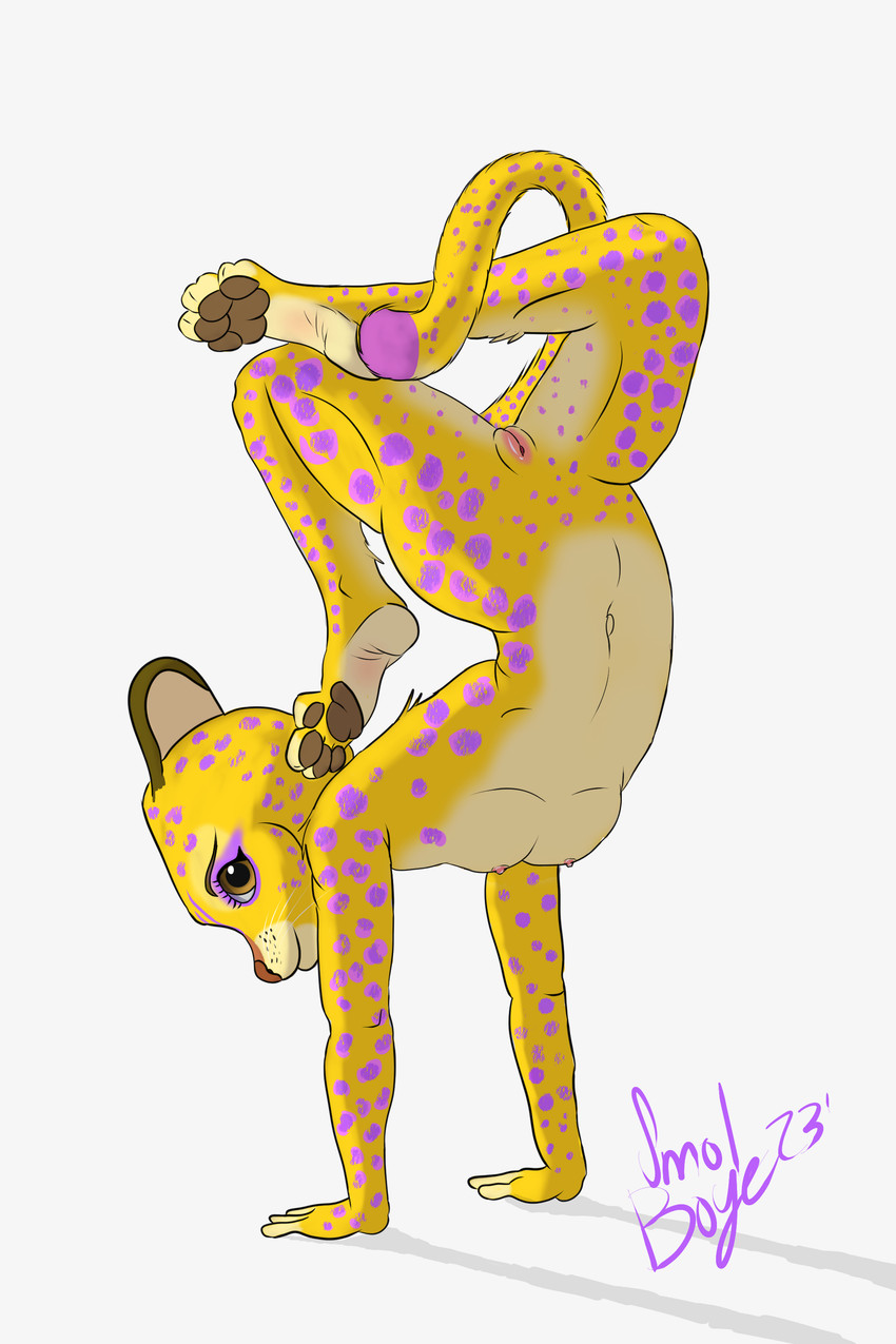 Gia The Jaguar (Madagascar (Series)) Rule 34 Image