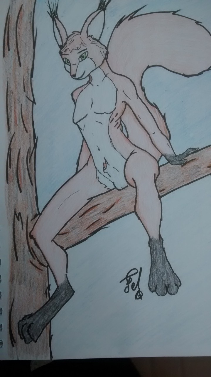 1boy 2015 anthro fel_greywolf green_eyes iora_rua male male_only mammal nude penis penis_tip red_squirrel rodent solo squirrel