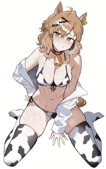animal ears, animal girl, bikini, blush, breasts, brown hair, cow girl, cow print, cygames, dashi kani, hair ornament, hairclip, hi res, highres, horse ears, horse girl, horse tail, jacket, jungle pocket (umamusume), medium breasts, open mouth, short hair, skin, socks, sweat, thighhighs, umamusume, umamusume pretty derby, umamusume: beginning of a new era, w sitting, white background, white jacket, yellow eyes