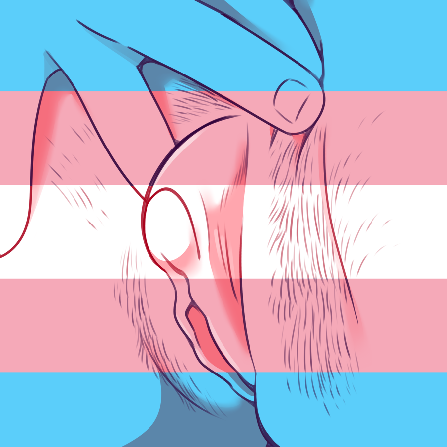 1cuntboy bush bushy_pubes cuntboy cuntboy_only darkchibishadow hairy_pussy presenting presenting_t-dick pussy pussy_lips t-dick transgender transgender_flag transgender_pride_colors transgender_symbol transmasc