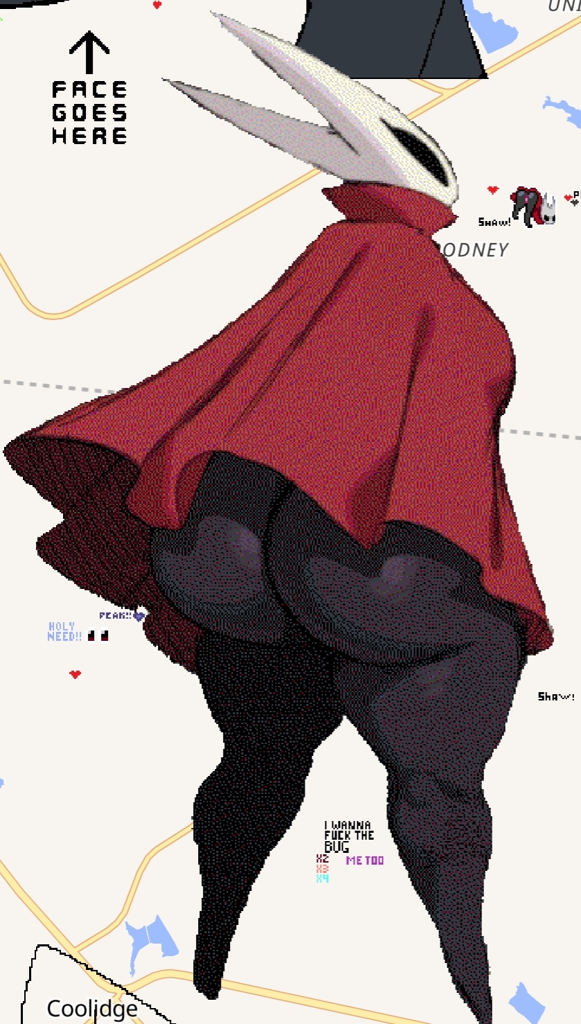 big ass, bottomless, bubble butt, hollow knight, hornet (hollow knight), tagme, upskirt, wplace, wplace (artwork)