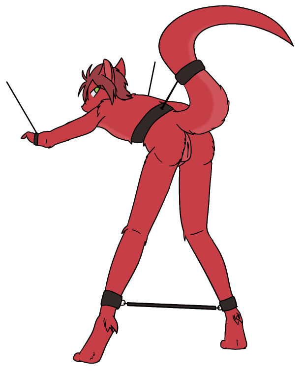 2020 andromorph ankle_cuffs anthro arm_tuft ass bent_over biped bondage bondage bound countershade_fur countershade_tail countershade_torso countershading cuff_(restraint) digitigrade dragon ears_back eye_through_hair feet fingers foot_tuft fur furred_dragon furred_scalie genitals green_eyes hair hands_tied heel_tuft intersex legs_tied looking_at_viewer looking_back looking_back_at_viewer mythological_creature mythological_scalie mythology nude pivoted_ears pointy_ears presenting presenting_hindquarters presenting_vulva prick_ears raised_tail rear_view red_body red_countershading red_fur red_hair restraints scalie short_hair shoulder_tuft simple_background slim_andromorph slim_anthro snout solo spreader_bar standing tail tail_bondage tail_cuff tail_tied tapering_tail terra_(terrathewizard) terrathewizard three-quarter_view toes translucent translucent_hair tuft vulva waist_cuff white_background wingless_dragon wrist_cuffs