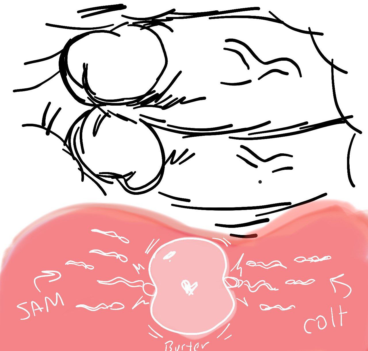 bara, brawl stars, buster (brawl stars), colt (brawl stars), cum, cum inside, cumshot, dinojaiba22, double penetration, ejaculation, gay, impregnation, internal, mixed cum impregnation, muscular, no color, pregnant, sam (brawl stars), sex, sketch, trio, x-ray
