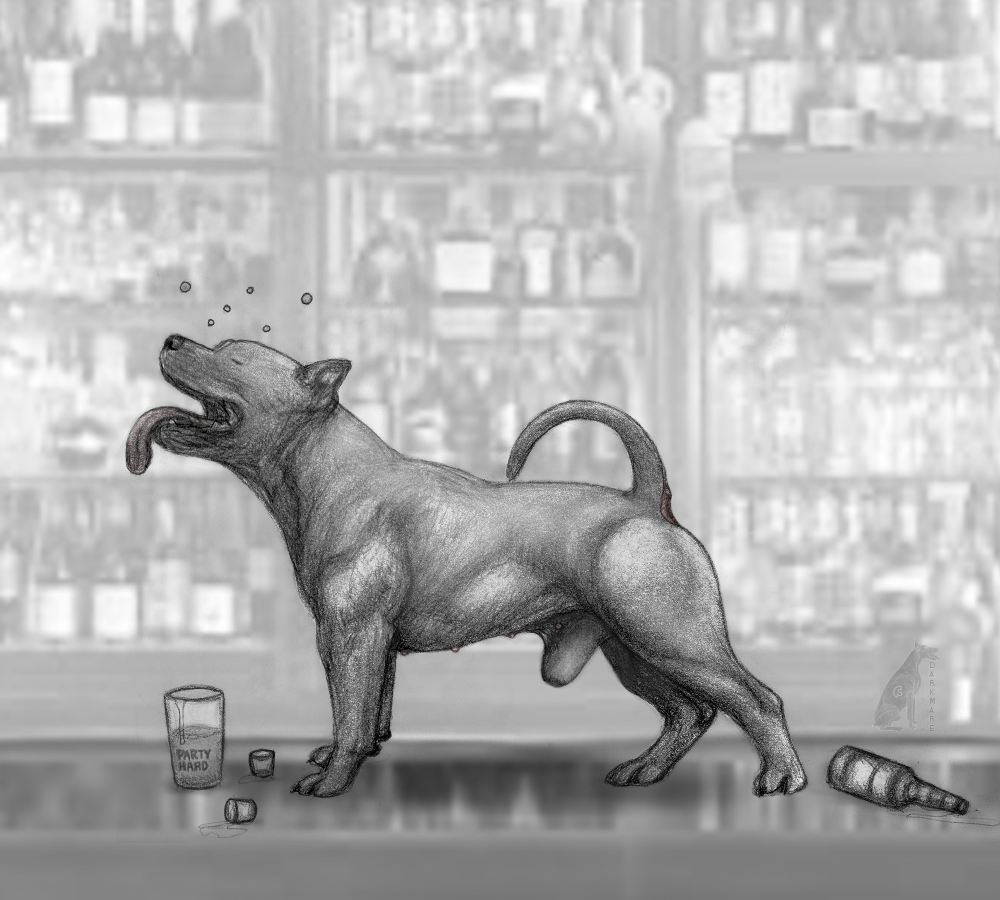 animal_genitalia anus bar canine canine closed_eyes darkmare drunk feral male mammal muscular nipples pitbull raised_tail sheath solo tongue tongue_out