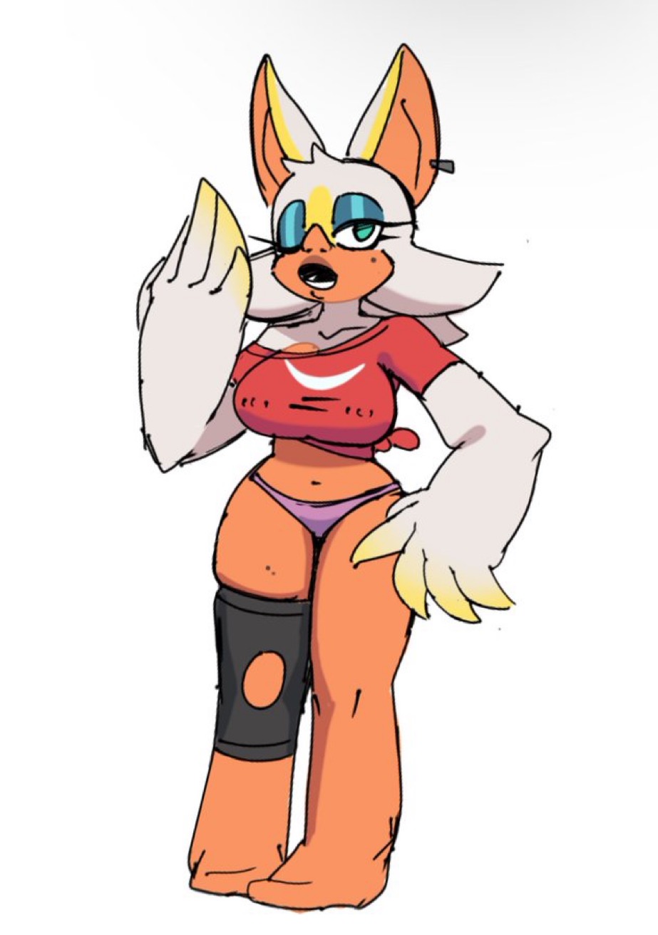Rouge The Bat (Sonic (Series)) Rule 34 Image
