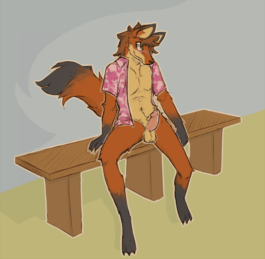 aloha_shirt anthro arm_tuft balls bench black_body black_fur blush bottomless brown_hair canid canine claws clothed clothing ears_front elbow_tufts erection fangs fluffy fluffy_tail fox fur furry furry_only genitals hair humanoid lawyerdog leg_markings male male_only mammal markings navel neck_tuft nipples pattern_clothing pattern_shirt pattern_topwear penis red_body red_fur shirt simple_background socks_(marking) solo tail topwear tuft