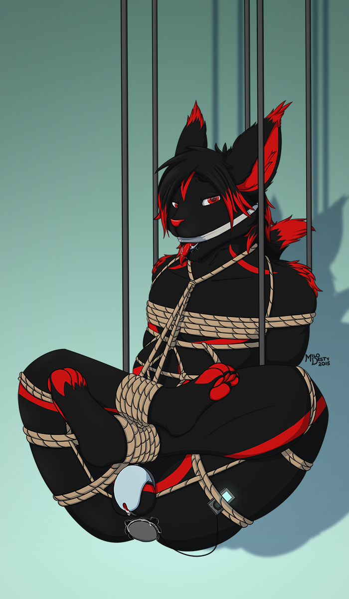 1boy 2015 anthro black_fur bondage bound buttplug chastity chastity_cage chastity_device cloth_gag elbrar feline fur gag gay male_chastity male_penetrated malesub mammal milodesty precum red_eyes red_fur rope rope_harness saliva sex_toy submissive_male suspension vibrating vibrator