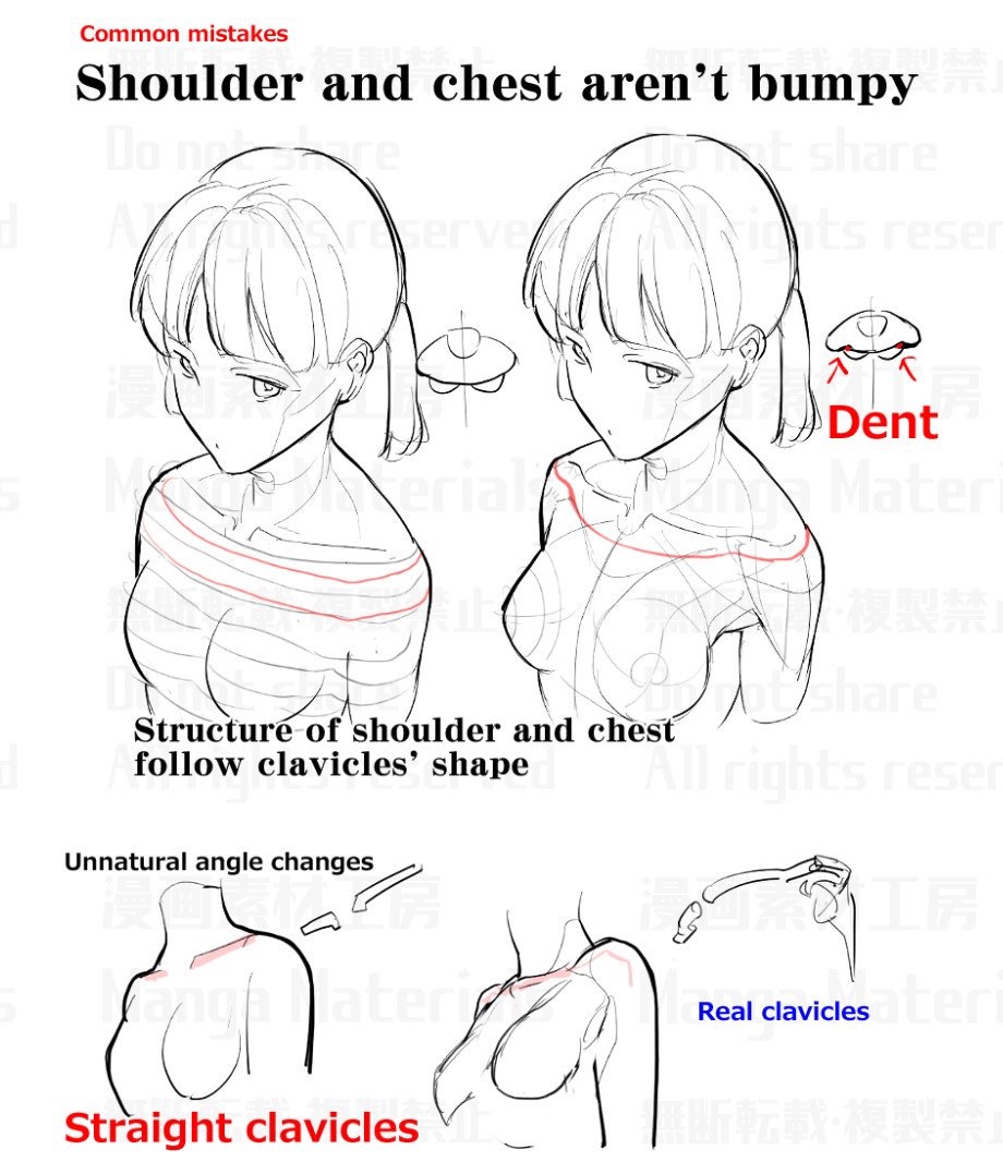 1girls anatomy clavicle female female_focus tutorial unknown_artist