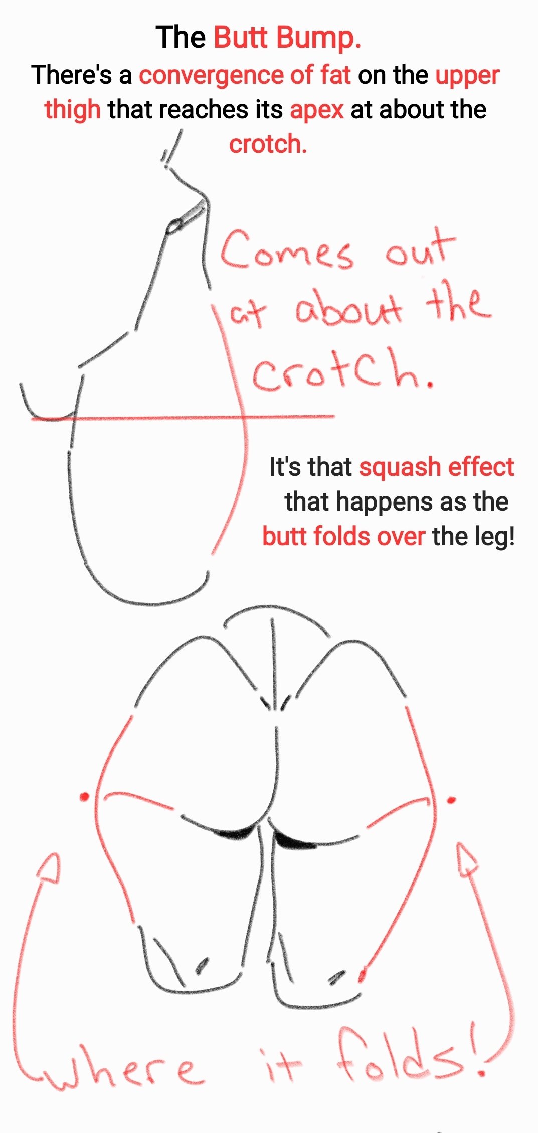 anatomy ass hips tutorial unknown_artist