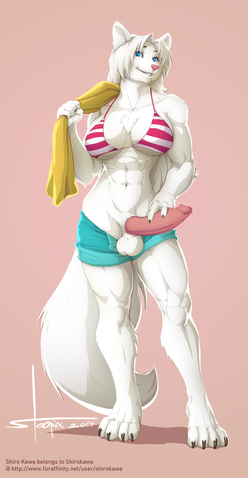 1futa 2014 5_fingers anthro balls blue_eyes breasts clothed clothing erection feline fur futa_only futanari hair humanoid_penis intersex mammal muscular_futanari partially_clothed penis shiro_kawa simple_background solo stoopix towel white_fur white_hair