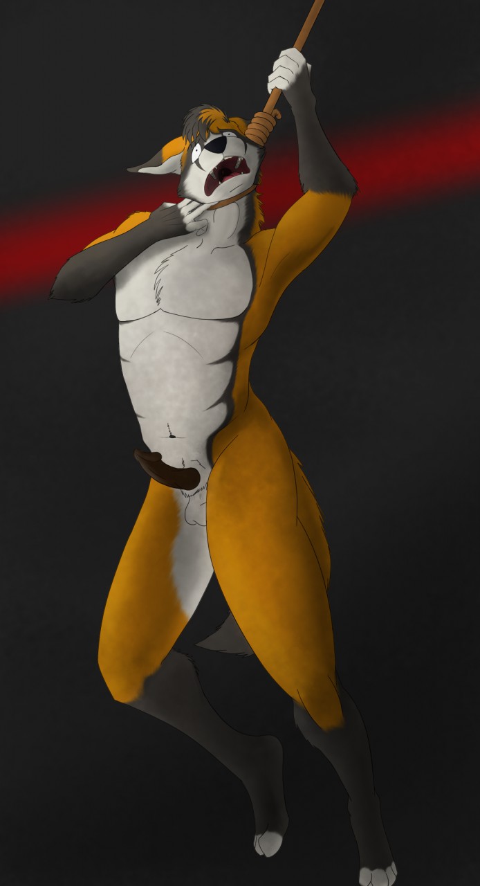 2017 4_toes 5_fingers afraid anthro anthro_only asphyxiation barefoot biped black_fur black_hair black_nose black_tail brown_penis canine chest_tuft death digital_media_(artwork) erection fingerless_(marking) fox front_view fur furry furry_only gay hair hanged highres humanoid_hands humanoid_penis imminent_death male mammal multicolored_fur multicolored_hair multicolored_tail navel noose nude open_mouth orange_fur orange_hair orange_tail panic penis rope saerro solo struggling teeth testicles toeless_(marking) toes tuft two-tone_hair vaultofvex white_balls white_fur