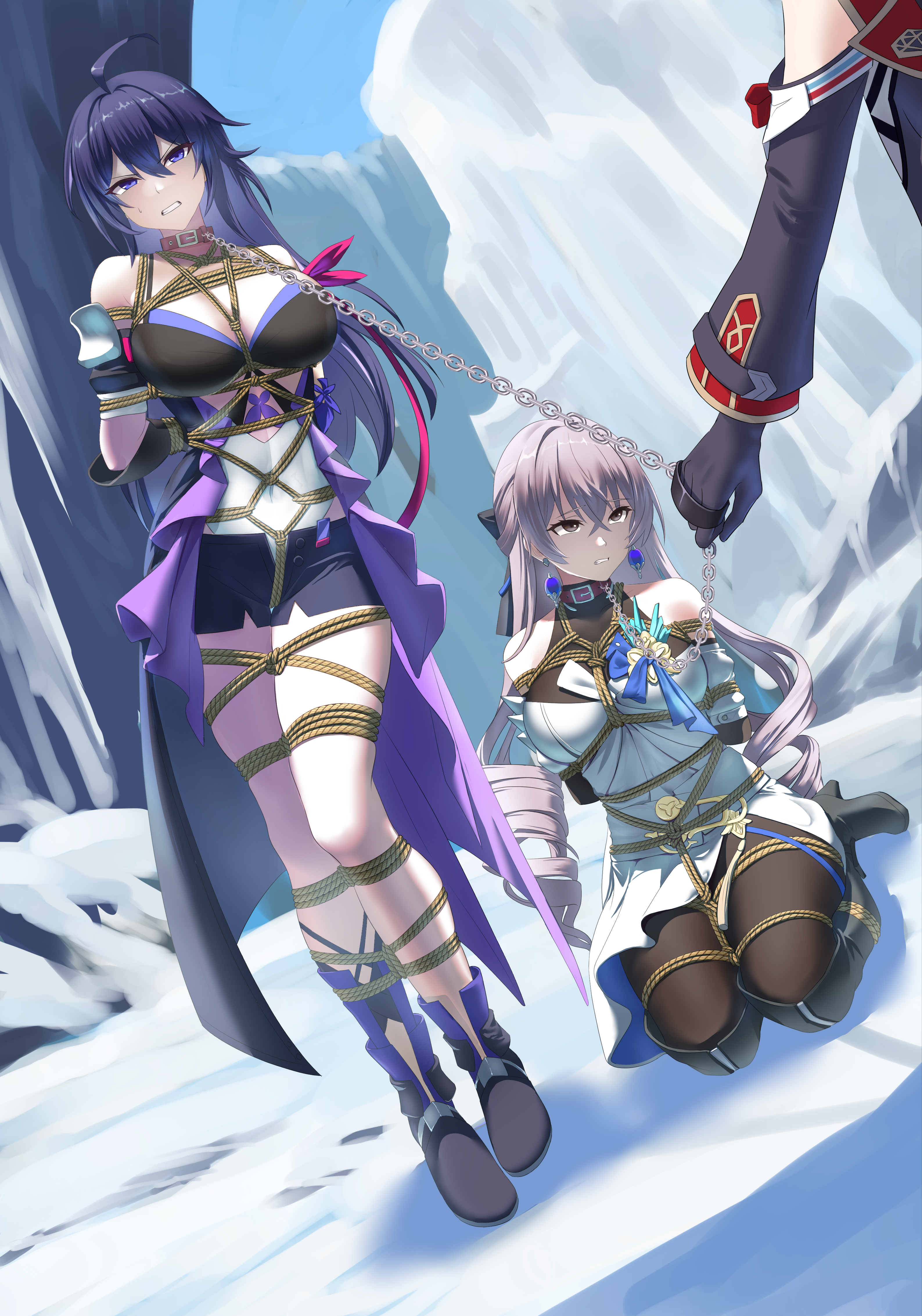 3girls, bondage, bound, bronya rand, chain leash, collar, crotch rope, female, forced march, honkai (series), honkai: star rail, kneeling, leash, leash and collar, leash pull, leashed, leashed collar, petplay, purple hair, seele (honkai: star rail), silver hair, slave, snow, topaz (honkai: star rail)