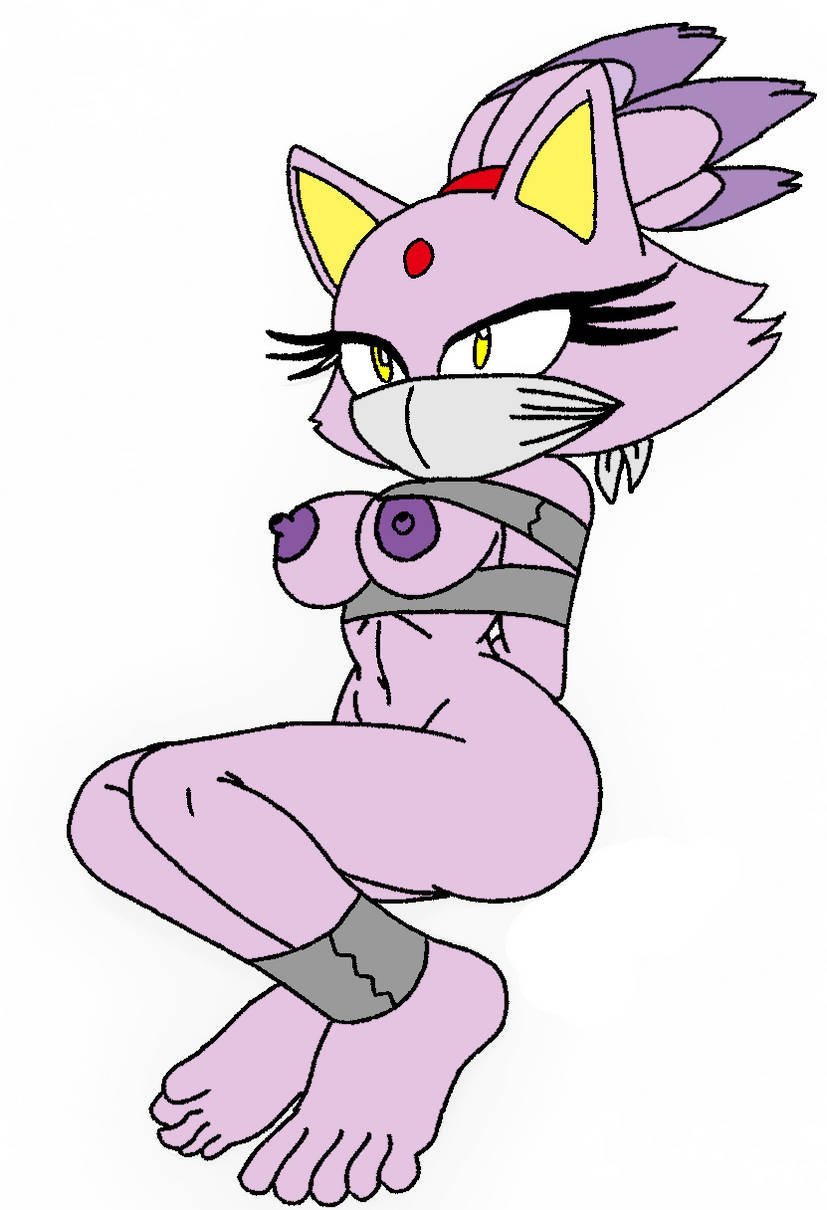 Blaze The Cat (Sega) Rule 34 Image