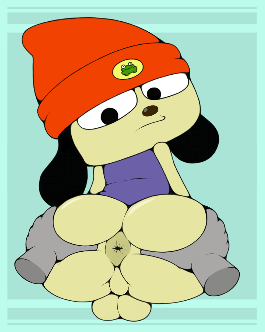 anthro anus balls beanie canid canine chujam clothing genitals hat headgear headwear male male_only mammal parappa parappa_the_rapper perineum sony_corporation sony_interactive_entertainment spread_anus spreading