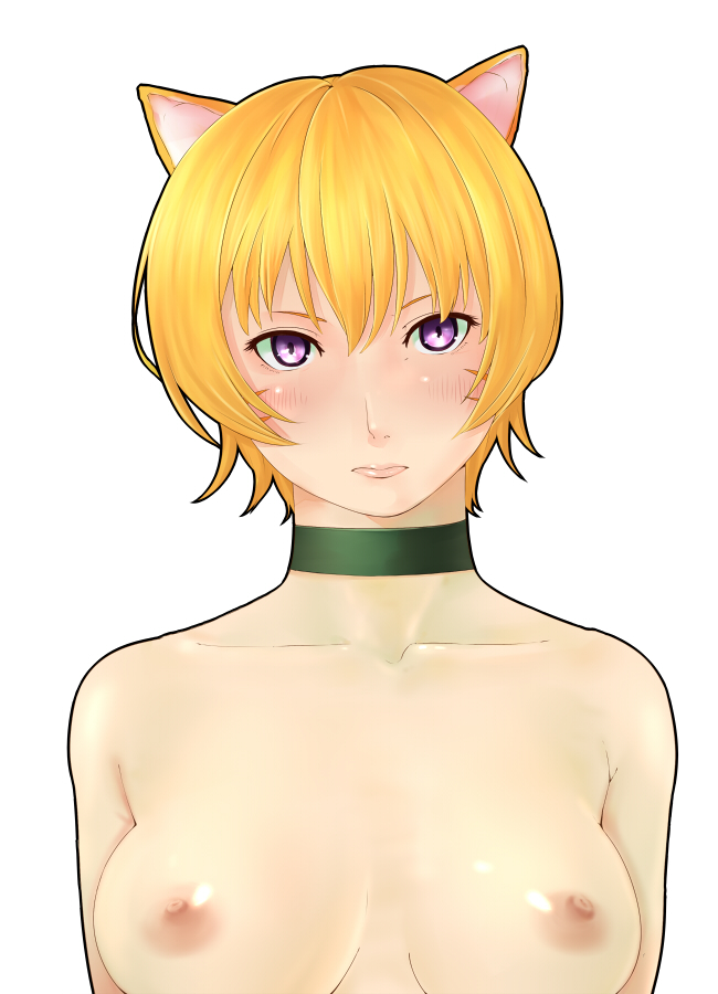 animal_ears blonde_hair blush breasts cat_ears fire_emblem fire_emblem:_path_of_radiance fire_emblem:_radiant_dawn gosuton laguz_(race) lethe_(fire_emblem) nipples purple_eyes