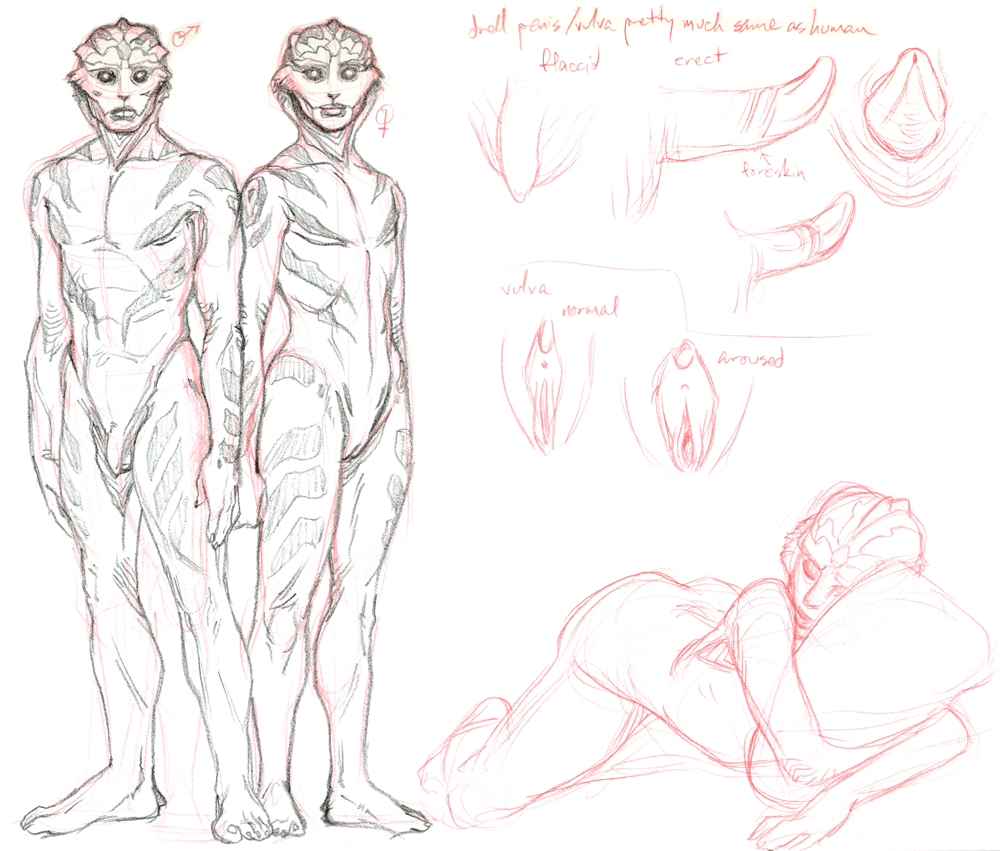 2012 alien alien_girl bioware character_sheet drell erection female flaccid foreskin male mass_effect nude penis pussy reginaprimata sci-fi science_fiction scifi sketch toned toned_male video_games