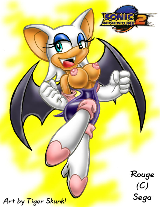 rouge_the_bat sega sonic_(series) straight_hair tagme tiger_skunk