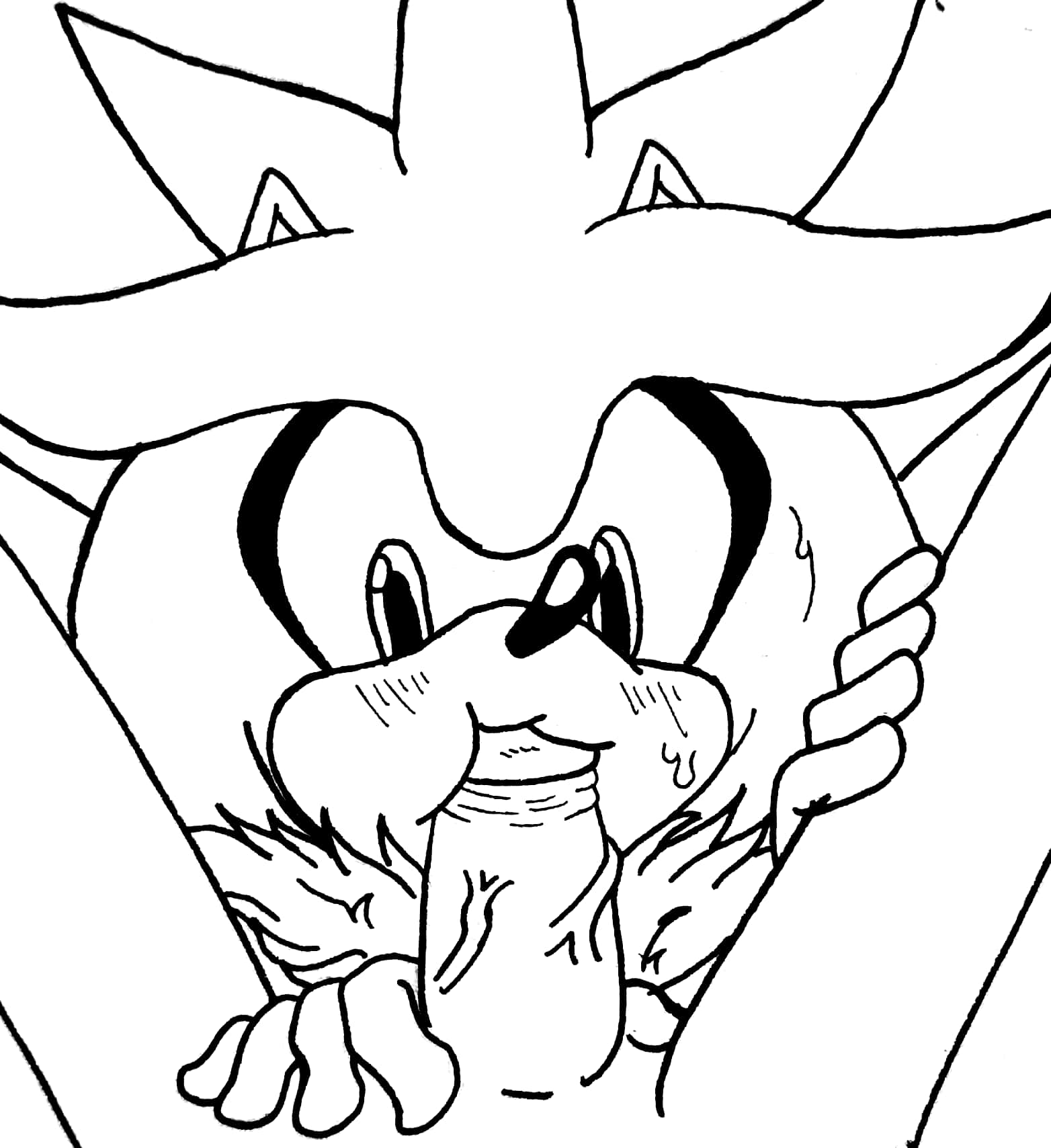 Silver The Hedgehog (Sonic (Series)) Rule 34 Image