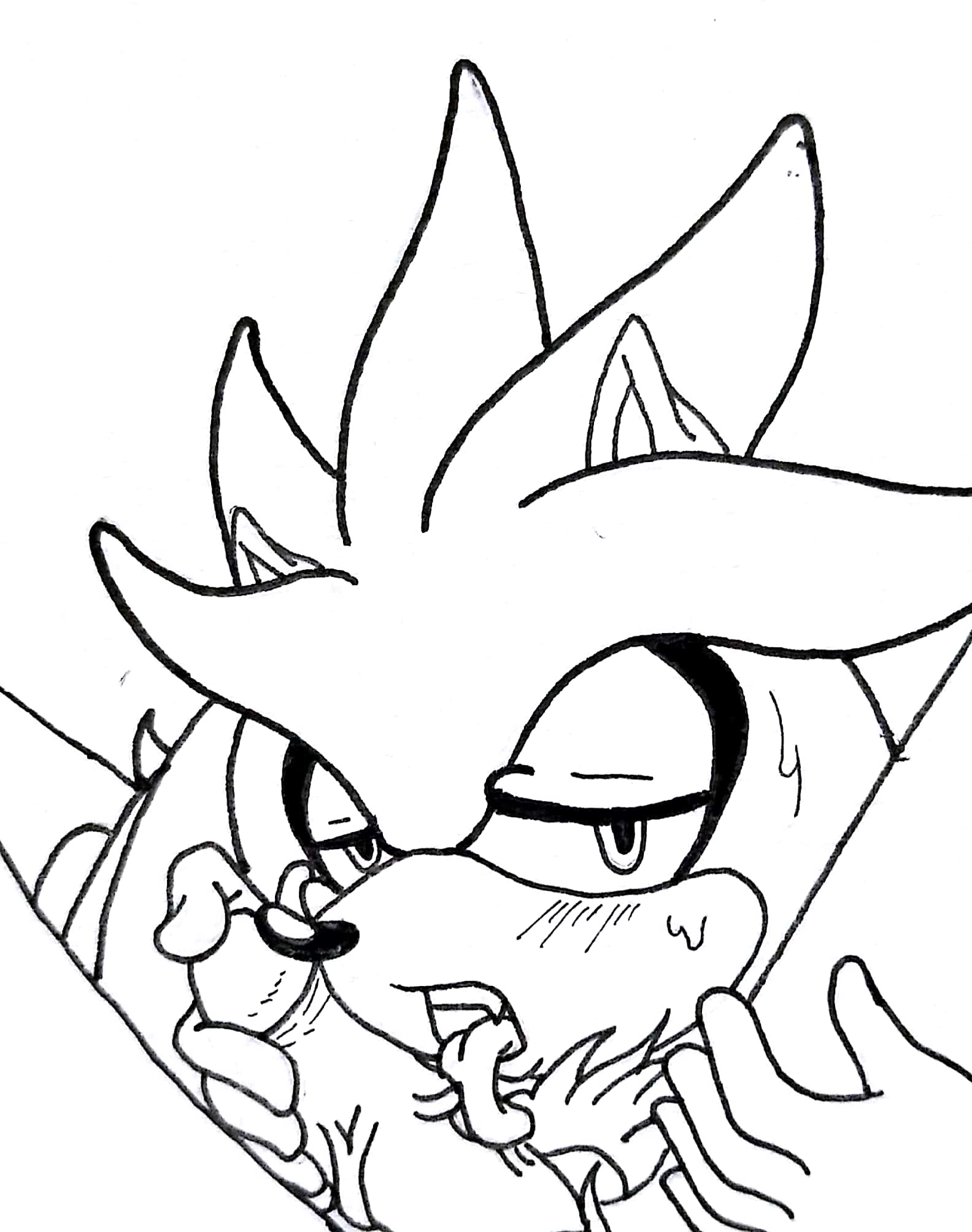 Silver The Hedgehog (Sonic (Series)) Rule 34 Image