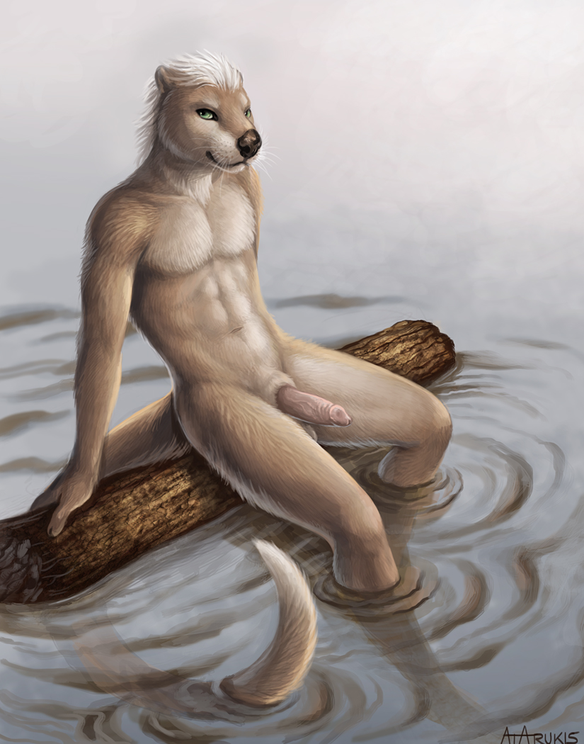 2017 balls fur hair looking_at_viewer male male_only mammal mustelid nude otter outside penis rukis solo tan_fur water wet white_hair