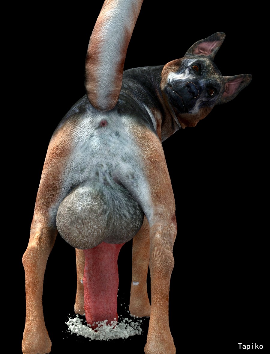 3d animal_genitalia animal_penis balls canine canine_penis erection excessive_precum feral fur german_shepherd hyper hyper_penis leaking looking_at_viewer male male_only mammal nude penis precum solo surprise tapiko