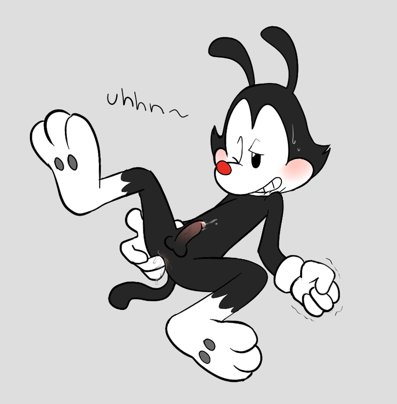 anal anal_fingering anthro balls fingering furry furry_only male male_only mammal no_humans penis solo yakko_warner