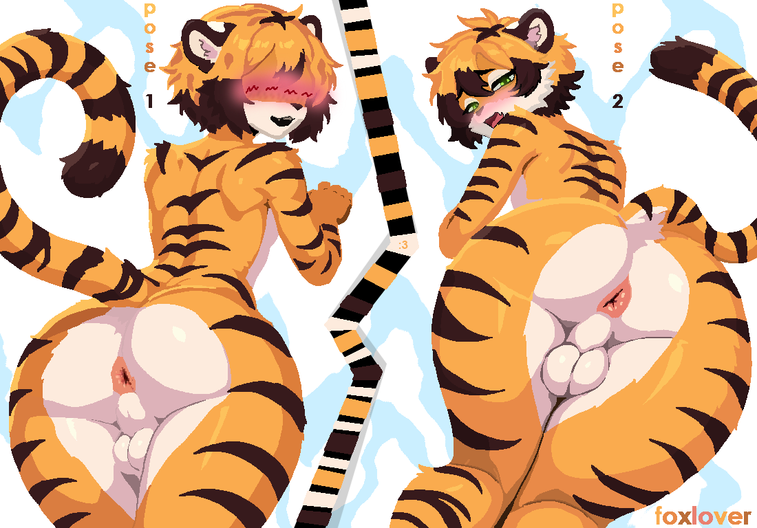 anus, f0xlover, femboy, furry, good boy, green eyes, handsome, looking at viewer, looking back, orange fur, round ass, sexy hips, sexy pose, shy, slim body, slim waist, solo anthro, striped fur, testicles, tiger, tiger ears, tiger tail, white background