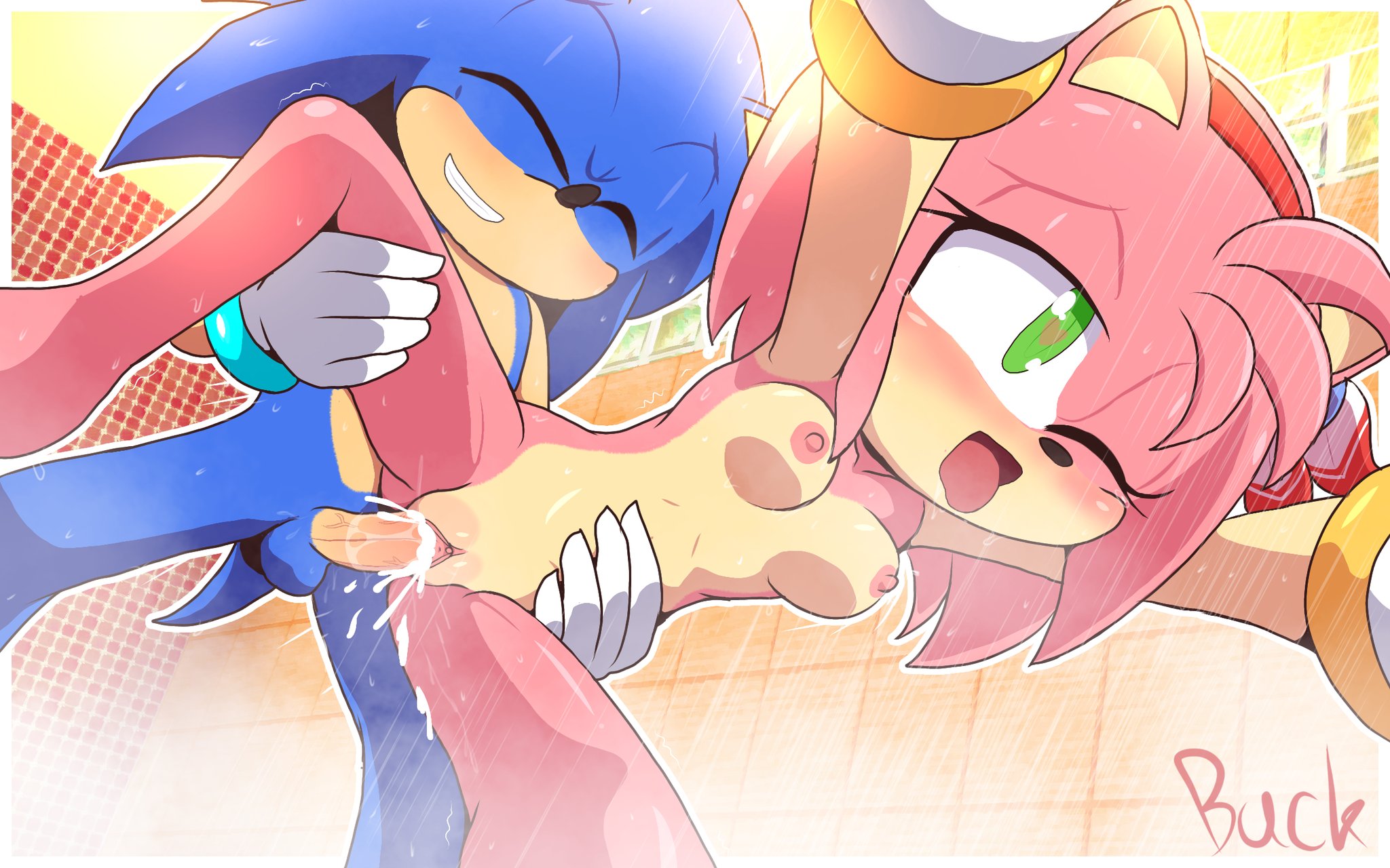 1boy, 1girls, amy rose, anthro, balls, breasts, cum, cum in pussy, cum inside, female, female penetrated, furry, male, male penetrating female, male/female, notbuckhori, pussy, shower, shower sex, showering together, sonic (series), sonic the hedgehog, sonic the hedgehog (series), tagme, vaginal penetration