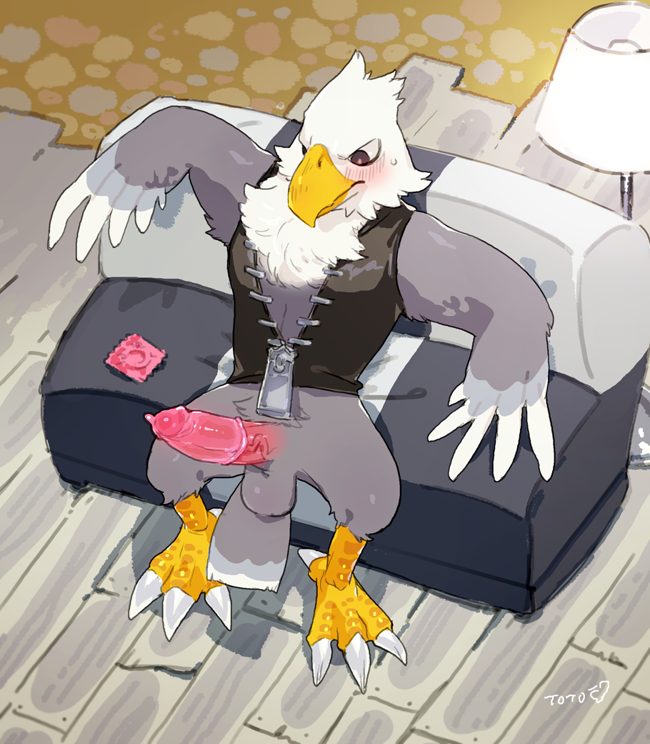 2017 animal_crossing anthro apollo_(animal_crossing) avian balls beak bebebebebe blush chest_tuft condom erection feathers heart humanoid_penis looking_down male male_only nintendo penis signature sitting solo talons tototoilet tuft video_games zipper