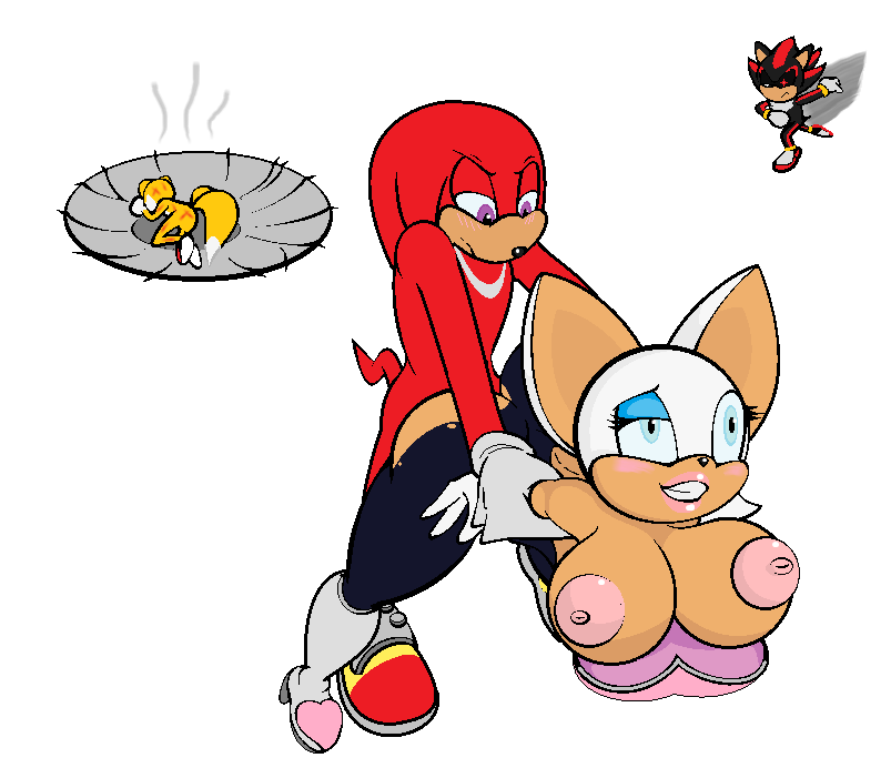 anthro ass bat beatdown beaten bent_over blush breasts canine clothing defeated echidna female fox hedgehog knuckles_the_echidna lil_scooter56 male mammal monotreme nipples rouge_the_bat sex shadow_the_hedgehog sonic_(series) straight tails