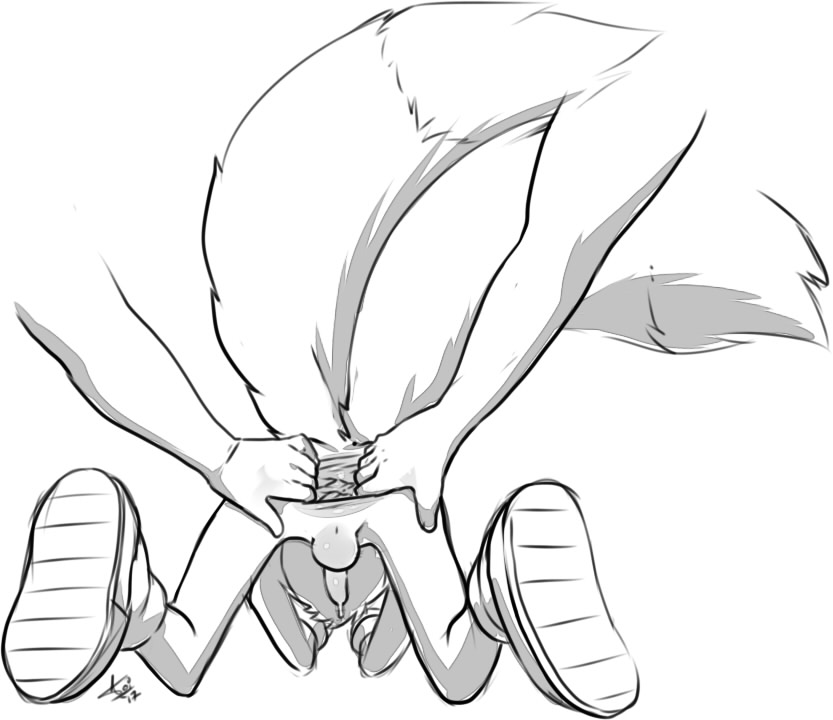 anthro anus aogami balls canine fox gaping gaping_anus male male_only mammal monochrome penis sonic_(series) sonic_the_hedgehog_(series) sonic_the_hedgehog_2 stretched_anus tails