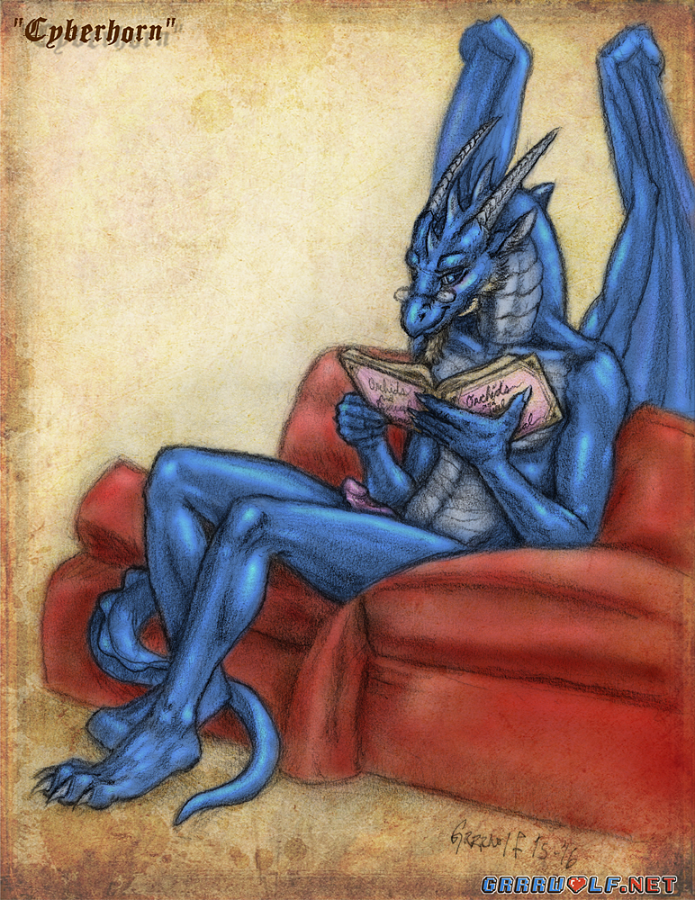 anthro beard book cyberhornthedragon dragon erection eyewear facial_hair glasses goatee grrrwolf male nude penis reading scalie sitting smile solo western_dragon