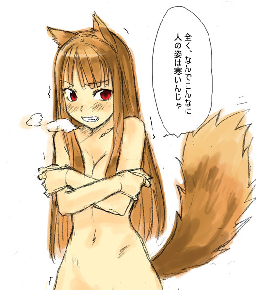 1girls animal_ears blush breath brown_hair cold covering_breasts crossed_arms cute_fang female grafite_(medium) holo long_hair medium_breasts mixed_media nude out-of-frame_censoring red_eyes sketch solo spice_and_wolf tail tetsu_(kimuchi) traditional_media translated trembling wolf_ears wolf_tail