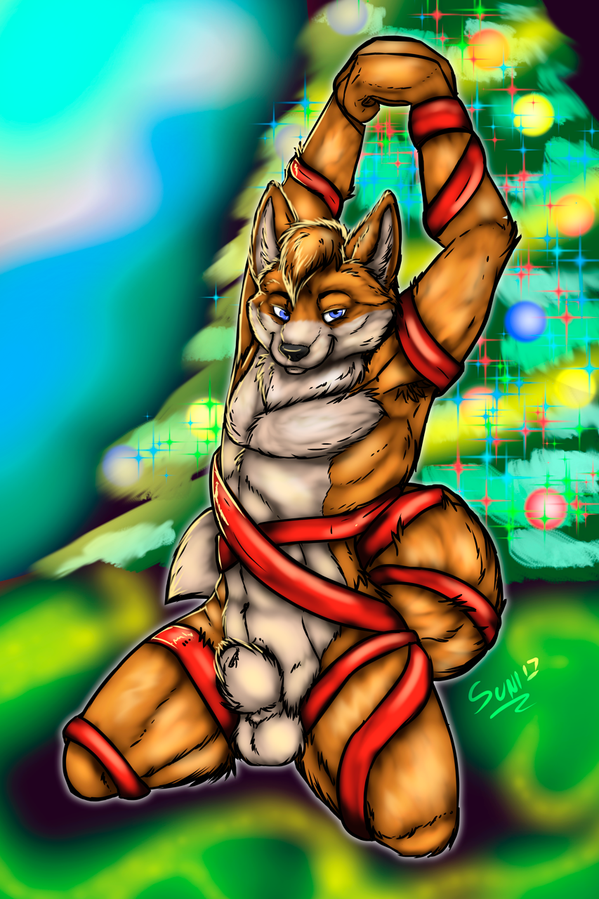 animal_genitalia balls blue_eyes bondage bound canine christmas christmas_tree fox fully_sheathed fur galener gift_wrapped holidays living_gift male male_only mammal orange_fur red_fox ribbon_bondage ribbons sheath sunitai tree