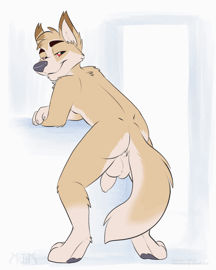 animated anthro anus ass backsack balls brown_fur bryce_(lonewolfhowling) canine flaccid foreskin fur furry gay humanoid_penis kwik looking_at_viewer male male_only mammal pawpads penis perineum red_eyes simple_background solo tail_wave tailwag uncircumcised uncut