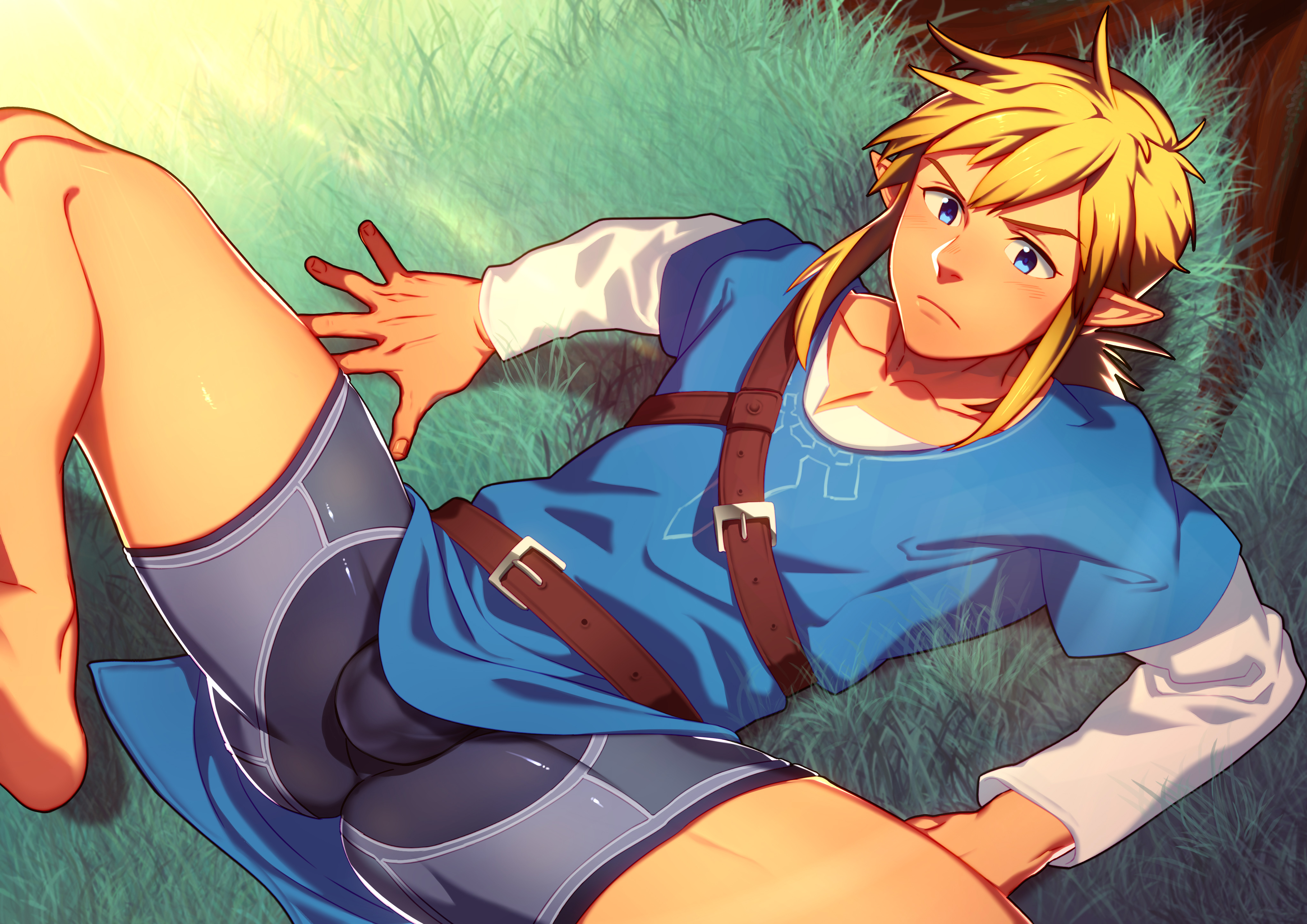 1boy, breath of the wild, champion's tunic, link, link (breath of the wild), lvlv, male, male focus, male only, nintendo, sheikah boxers, tagme, the legend of zelda, underwear