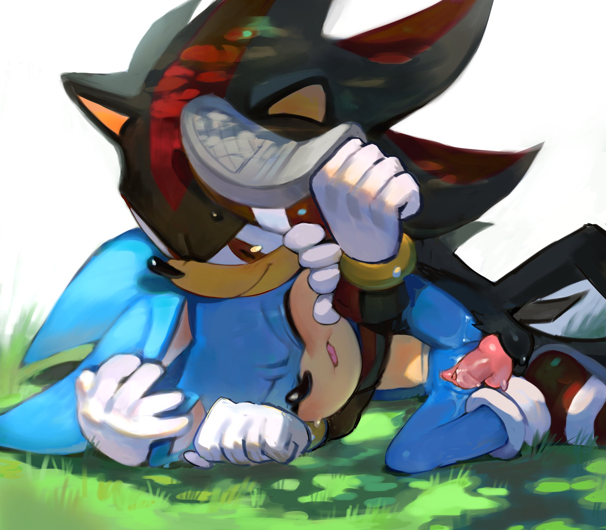 1boy, 1cuntboy, black fur, blue fur, cuntboy, eulipotyphlan, eyes closed, grass, knot, knotted penis, on ground, pinklilim, red eyes, rosy cheeks, shadow the hedgehog, smirk, sonic (series), sonic the hedgehog, sonic the hedgehog (series), spread legs, tongue out, vagina, vaginal penetration, white background, yaoi