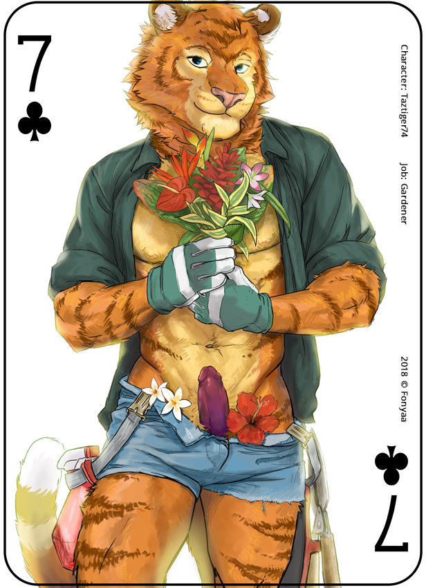 2018 abs anthro card clothed clothing digital_media_(artwork) english_text erection feline flower fonyaa fur gardener gloves holding_object looking_at_viewer male male_only mammal muscular muscular_male navel orange_fur pecs penis plant playing_card shirt simple_background smile solo standing striped_fur stripes text tiger white_background