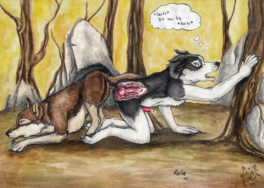 2014 anal anal_sex animal_genitalia animal_penis anthro anthro_on_feral anthro_penetrated artist_logo black_body black_fur border_collie brown_body brown_fur canid canine canine_genitalia canine_penis canis collie dated domestic_dog duo ears_back erection feral feral_penetrating feral_penetrating_anthro floppy_ears fur genitals herding_dog internal kola_(artist) logo male male/male male_penetrated male_penetrating male_penetrating_male mammal nude open_mouth pastoral_dog penetration penile penile_penetration penis penis_in_ass pivoted_ears plant red_penis red_tongue rock sex sheepdog side_view signature tan_body tan_fur thought_bubble tongue traditional_media_(artwork) tree white_body white_fur zoophilia