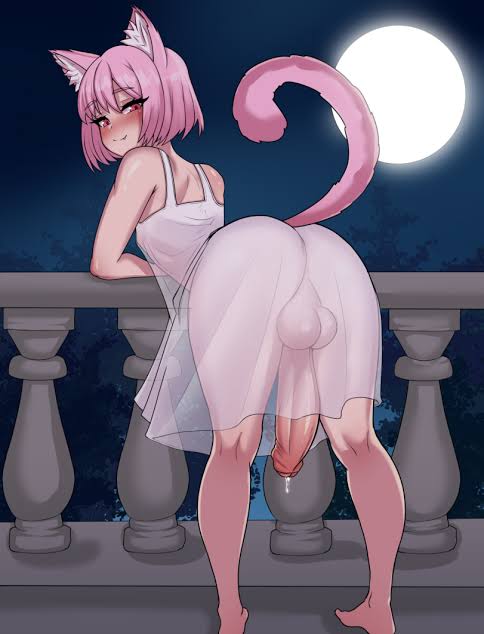 anthro, breasts, cat girl, catgirl, female, futanari, futasub, intersex, sideboob, small breasts