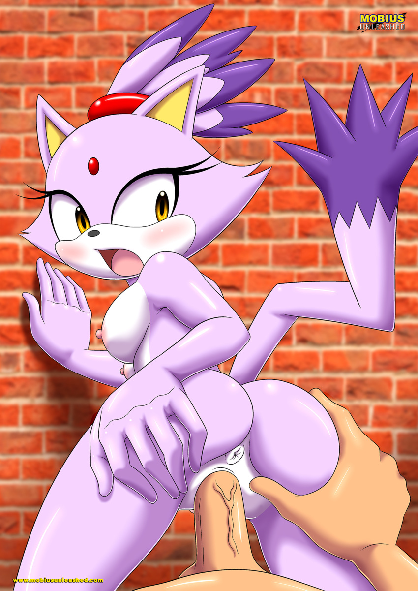 1boy, 1girls, anthro, anthro female, anus, ass, ass grab, bbmbbf, blaze the cat, blush, breasts, butt grab, feline, female, female anthro, female focus, female/male, from behind, from behind position, fur, human, human on anthro, leaning forward, light skin, light-skinned male, long tail, looking back, male, male human, male human/female anthro, male on anthro, male pov, male/female, mobius unleashed, naked, nipples, nude, open mouth, palcomix, partial male, penis, pov, pussy, sega, sex, sideboob, sonic (series), sonic the hedgehog (series), spread ass, tail, thick, thick hips, thick thighs, thighs, tied hair, vaginal, vaginal insertion, vaginal penetration, wall, wide eyed, wide hips, yellow eyes